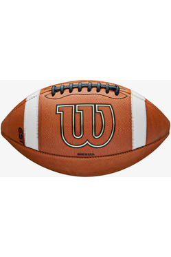 Wilson GTS Leather Game Ball